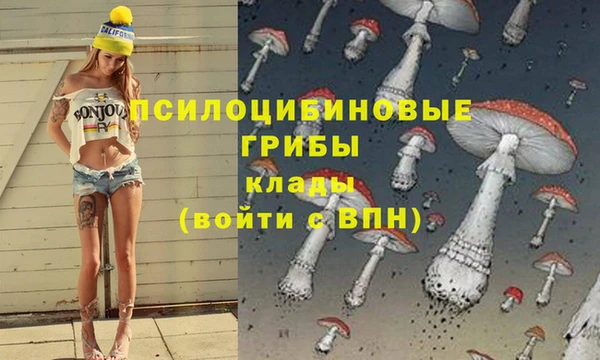 jwh Нея
