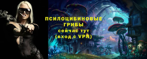соль ск Нефтекумск