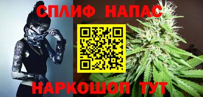 стаф Бузулук
