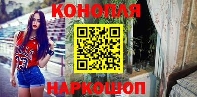 стаф Бузулук