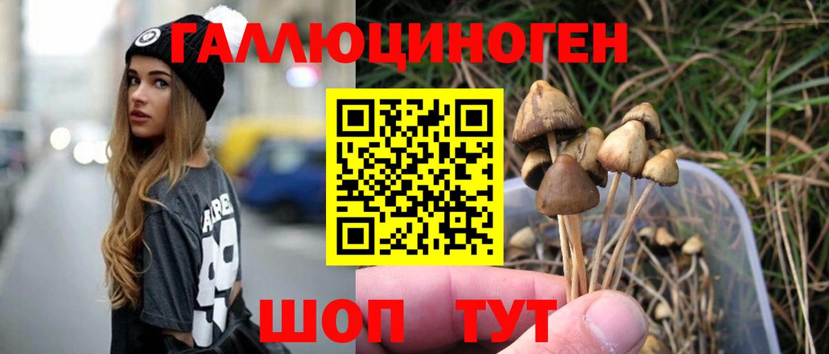 Галлюциногенные грибы Magic Shrooms  Псилоцибиновые грибы Magic Shrooms  Дубна 